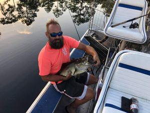 Largemouth Bass fishing in Florida
